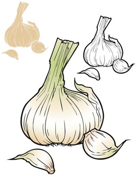 Garlic with variations