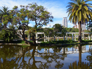 Fototapeta na wymiar Rosengarten w Buenos Aires Palermo /