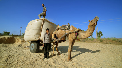 Loading straw onto cart