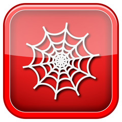 Spider web icon
