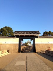 Fototapeta premium 大阪