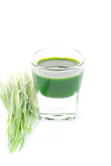 Wheat grass juice
