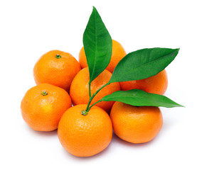 Ripe tangerines or mandarin with leaf isolated on white backgrou