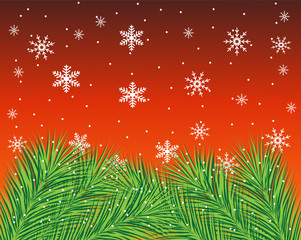 beautiful festive background with spruce branches