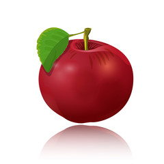 red apple