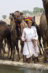 Camel festival , Thar desert , Rajasthan , India © SIRIUS*