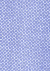 Fond à fleurettes bleues.