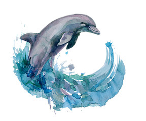 Fototapeta premium delfin