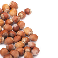 Fototapeta premium Hazel nuts on white isolated