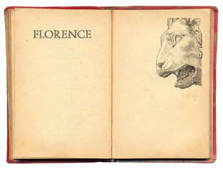 Florence lion illustration
