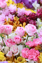 abstract background of  various kind of flowers