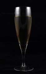 White Wine