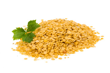Yellow lentils