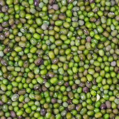 Mung beans