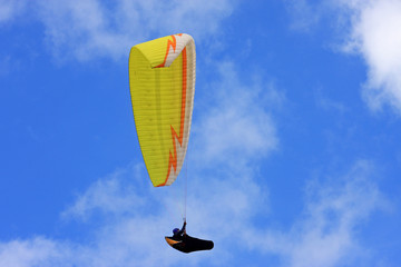 paraglider