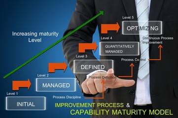 Business improvement process of capability maturity model