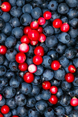 Ripe blueberries and cranberries for background
