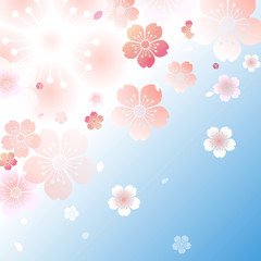 Fototapeta na wymiar 桜　和柄 春