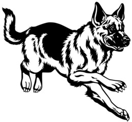 german shepherd black white