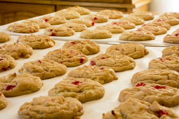 Fresh Baked Cookies