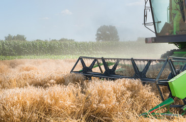 wheat harvester