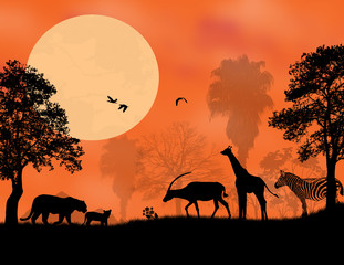 Fototapeta na wymiar Sunset Safari