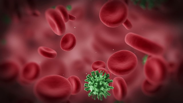 Red Blood Cells and Viruses Flowing Through Vein