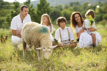 Naklejka premium Family feeding animal on the farm