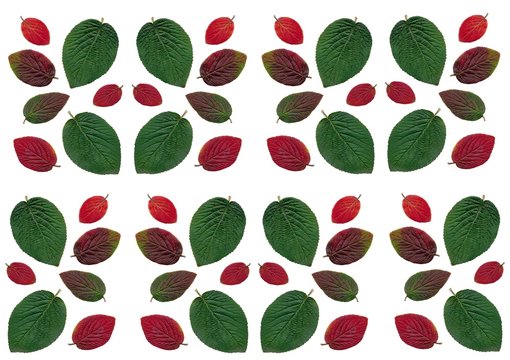 pattern  and background with leaves