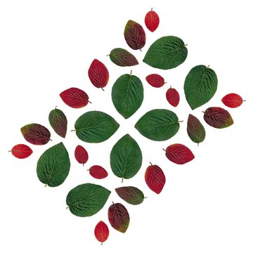 arrangement of multocolor leaves as background