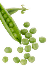 Fresh green pea pod