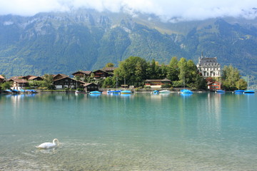 Alpine lake Brienz of Jungfrau region
