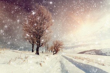 Winter landscape