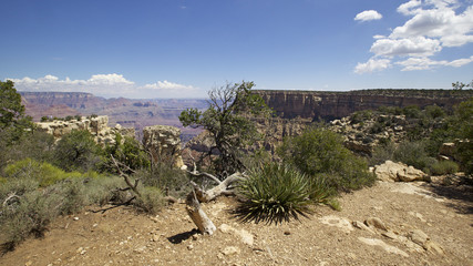 moran point,  le Grand Canyon, Arizona