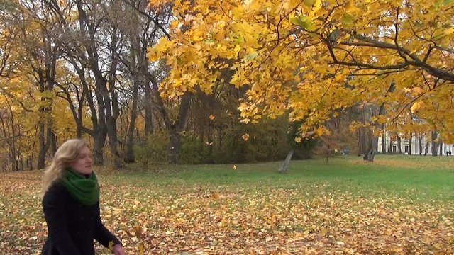 woman shake yellow leaves dressed tree branch in park