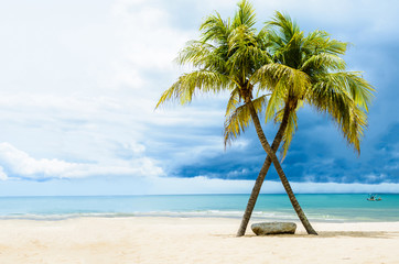 Fototapeta na wymiar Piękna plaża z palmami, Tajlandia