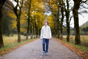 Obraz premium Happy boy walking down a beautiful road between colorful trees