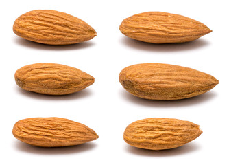 Six Different Almond Fruits Closeup On White Background