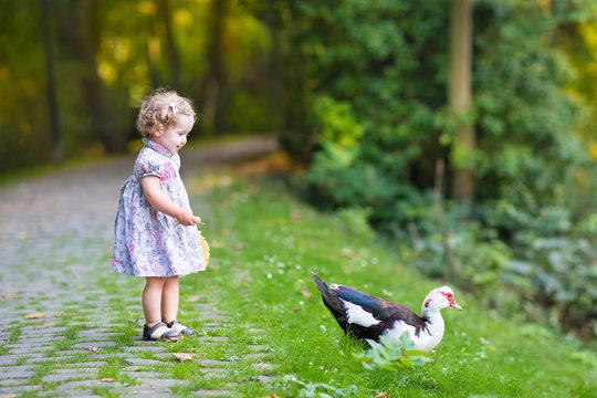 Adorable baby girl in a festive dress playing with a wild duck
