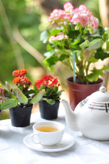 Obraz na płótnie Canvas tea and flower