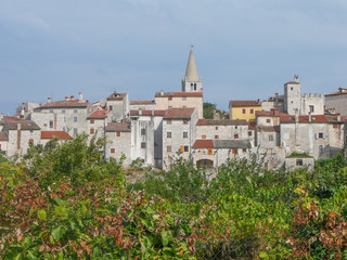 Obraz premium Istria Valley