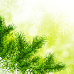Fototapeta na wymiar Green Fir Tree and Snowflakes