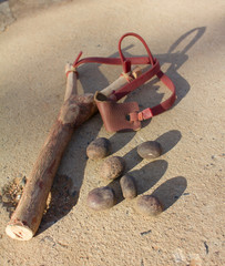 catapult and seed