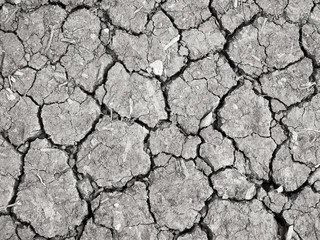 Abstract natural background