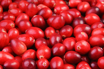 Raw Cranberries background