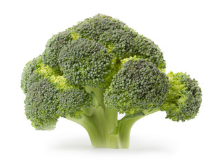 Broccoli isolated on white background