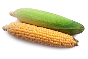 Corn