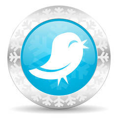twitter icon