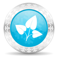 leaf icon