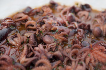 selection of small octopus for italian anti pasti